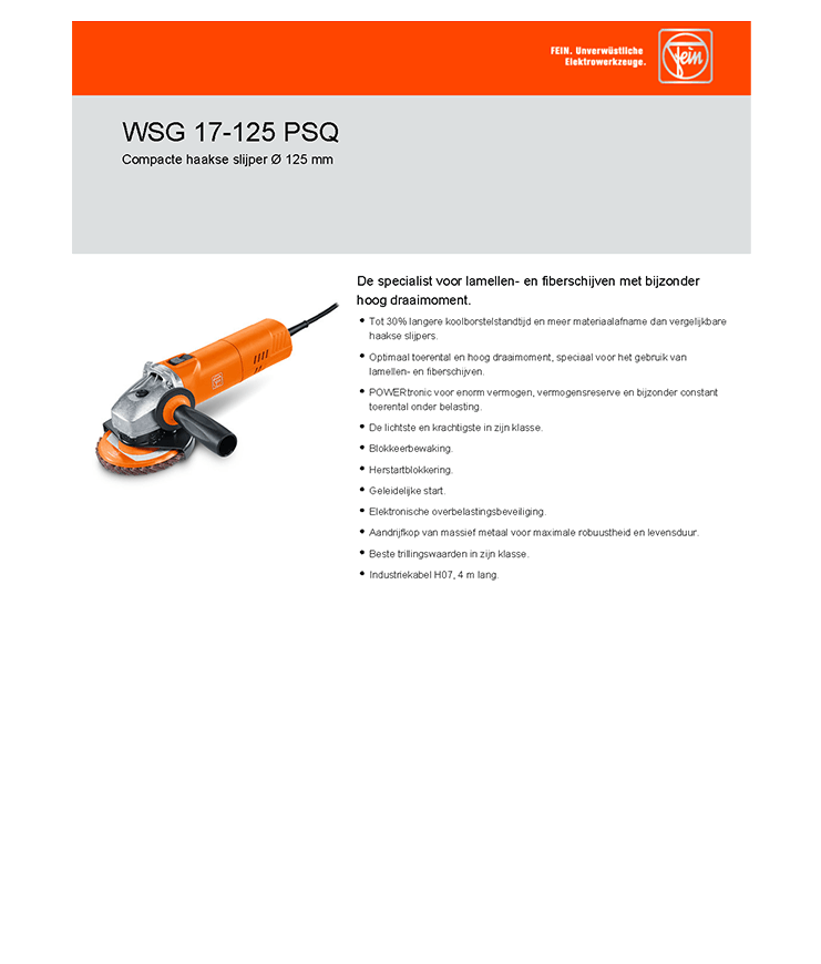 Fein WSG 17-125 PSQ 